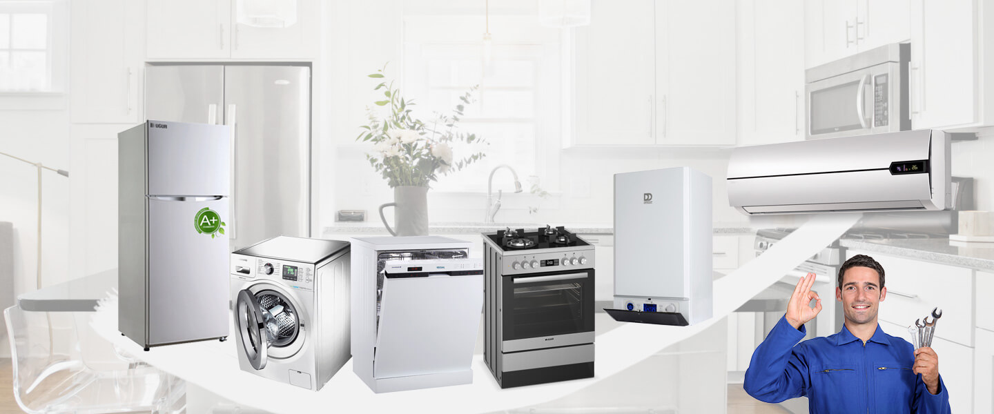 Doğanlar Hoover Servisi